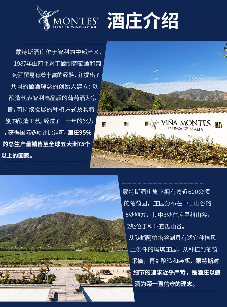 智利MONTES ALPHA MERLOT蒙特斯欧法梅洛干红葡萄酒-直商易购